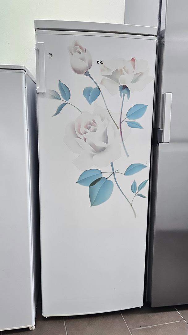 Lednice s mrazákem OK – Lednice s mrazákem | Elektro Bazar Liberec